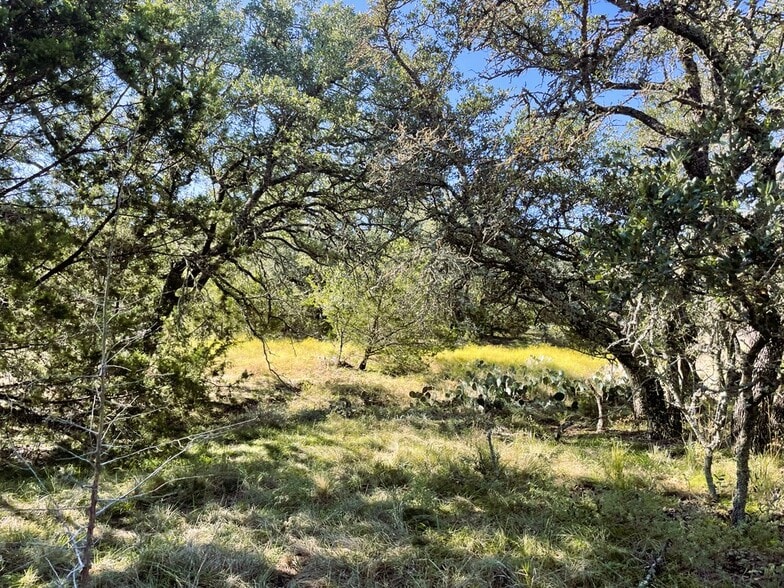 1276 Farm to Market Road 574, Mullin, TX for sale - Building Photo - Image 2 of 50