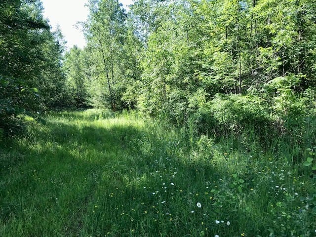 0 Bear Swamp, Peru, NY for sale - Building Photo - Image 3 of 19