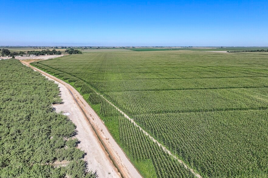 Blanchard Avenue, Laton, CA for sale - Building Photo - Image 3 of 12