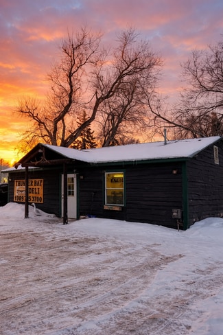 More details for 11450 M-33 Hwy, Atlanta, MI - Retail for Sale