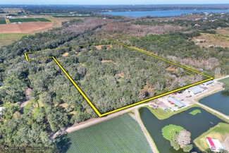 Plus de détails pour 12454 Browns Berry Rd, Dover, FL - Terrain à vendre