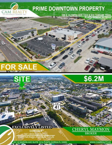 Downtown Punta Gorda Buildings portefeuille de 4 propriétés à vendre sur LoopNet.ca - Photo du bâtiment - Image 1 de 4