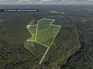 Plus de détails pour 0 Cox Hollow Rd, Dover, TN - Terrain à vendre