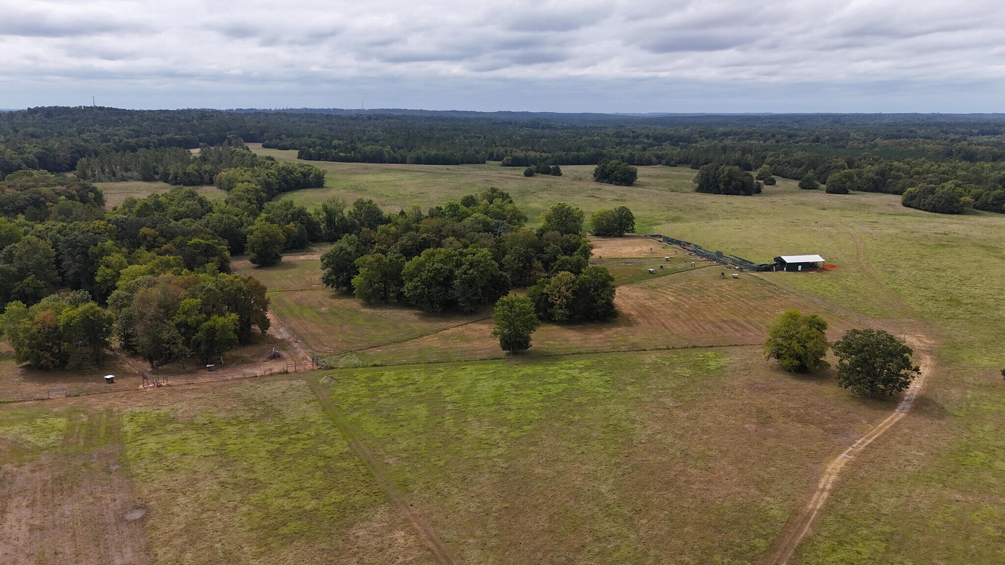 6040 AL-28, Pine Apple, AL à vendre Photo du bâtiment- Image 1 de 28