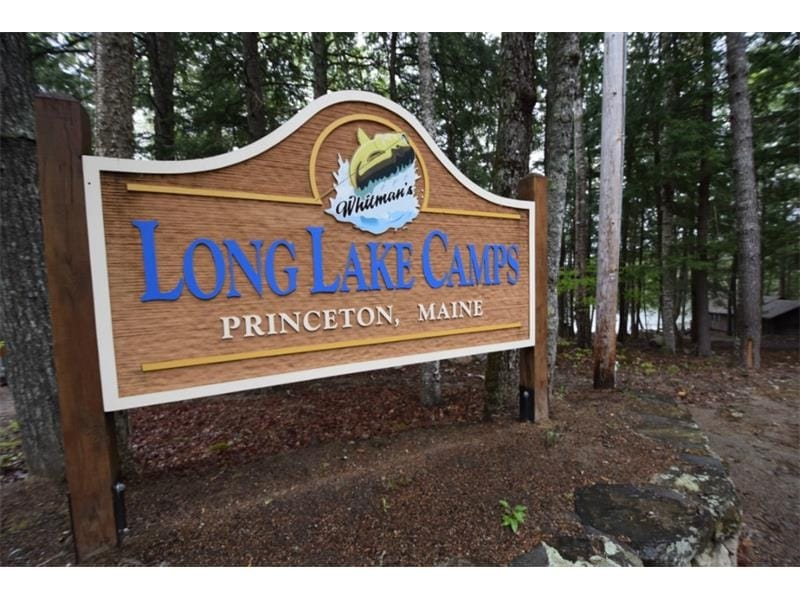 239 Long Lake Camp Rd, Princeton, ME à vendre Photo principale- Image 1 de 7