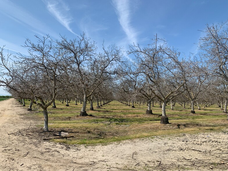 Laguna Ave, Laton, CA à vendre - Photo du b timent - Image 2 de 4