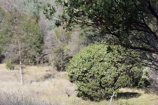 More details for 0 Fricot City Road, San Andreas, CA - Land for Sale