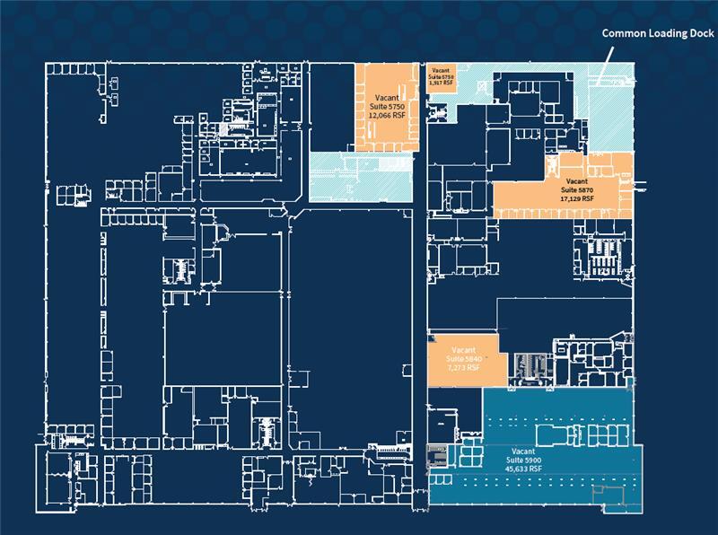 800-850 NW Chipman Rd, Lee's Summit, MO for lease Floor Plan- Image 1 of 2