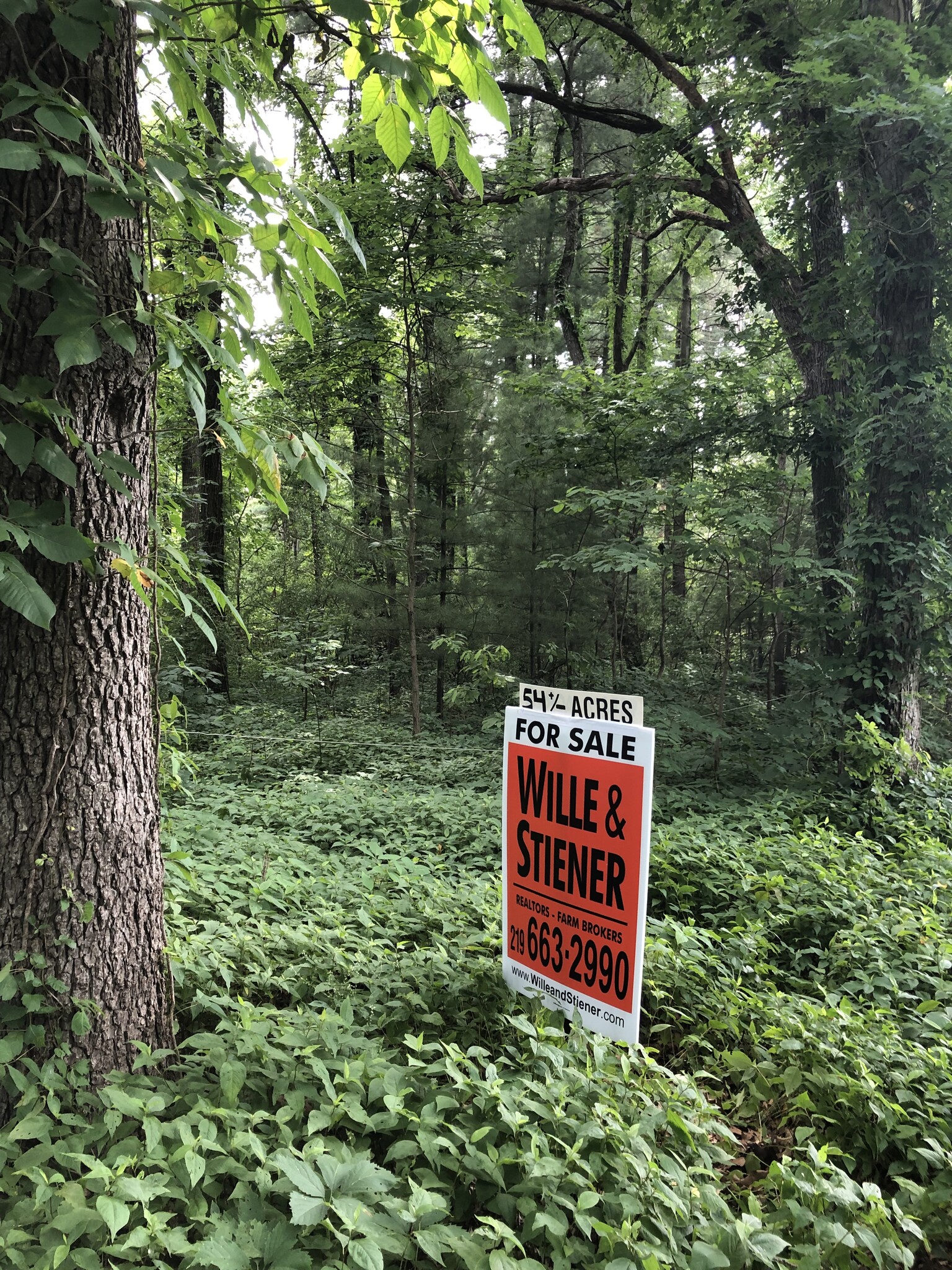 700 South, San Pierre, IN à vendre Autre- Image 1 de 5