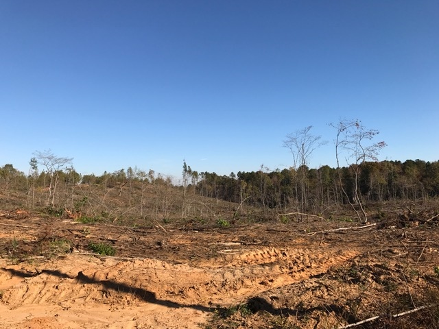 Highway 278, Dallas, GA for sale Building Photo- Image 1 of 1