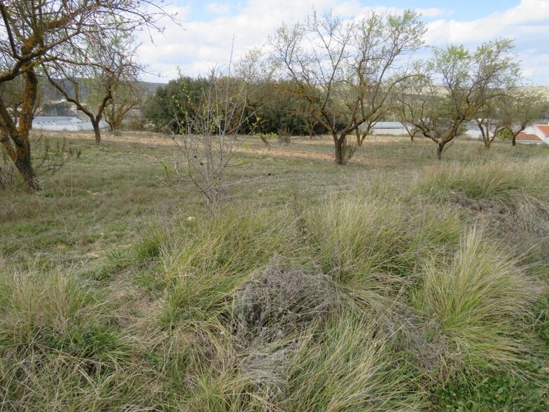 Land in Ontinyent, Valencia for sale - Primary Photo - Image 3 of 9