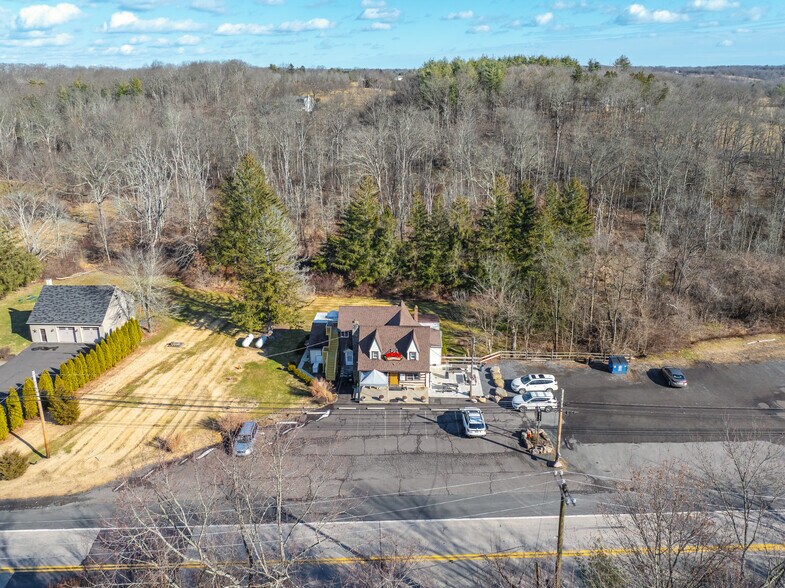 7349 Easton Rd, Pipersville, PA à vendre - Aérien - Image 2 de 17