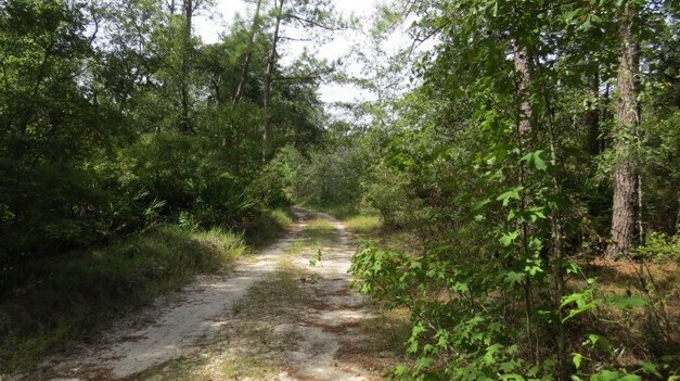 0 AREA LINE ROAD, Claxton, GA for sale Building Photo- Image 1 of 7
