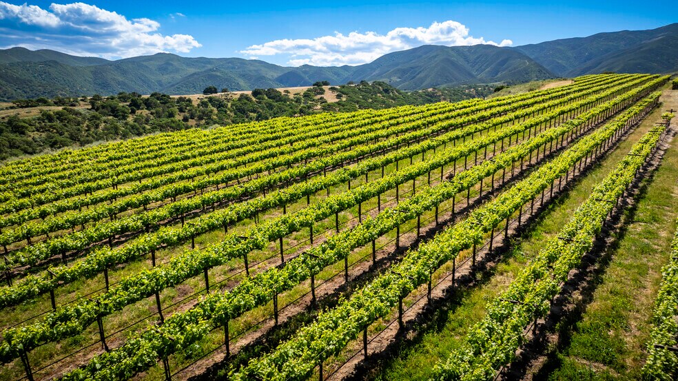 35422 Paraiso Springs Rd, Soledad, CA à vendre - Photo du bâtiment - Image 2 de 15