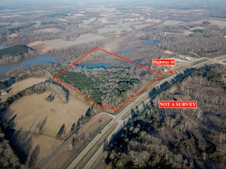 More details for Highway 45 S, Saltillo, MS - Land for Sale