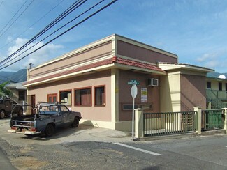 Plus de détails pour 1246 Lower Main St, Wailuku, HI - Commerce de détail à louer