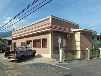 Plus de détails pour 1246 Lower Main St, Wailuku, HI - Commerce de détail à louer