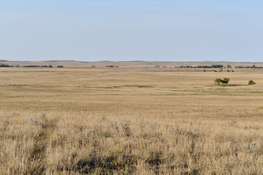 13901 Zeona Rd, Reva, SD for sale - Other - Image 2 of 2