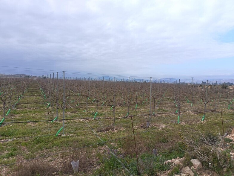 Terrain dans Monforte del Cid, Alicante à vendre - Aérien - Image 3 de 7