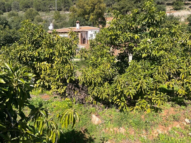 Polígono 15 Paraje, 164, Coín, Málaga à vendre - Photo du bâtiment - Image 3 de 44