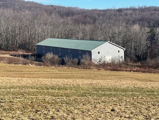 Plus de détails pour 229 Menges Rd, Livingston Manor, NY - Industriel/Logistique à louer