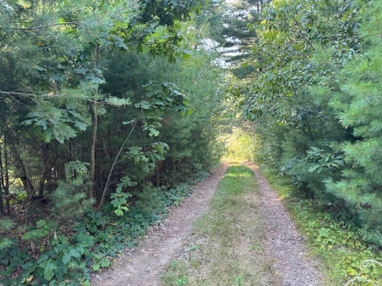 1204 South St, Wrentham, MA à vendre - Photo du bâtiment - Image 3 de 3