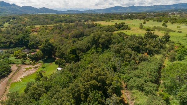 2500 Niumalu Rd, Lihue, HI à vendre - Photo du bâtiment - Image 3 de 16