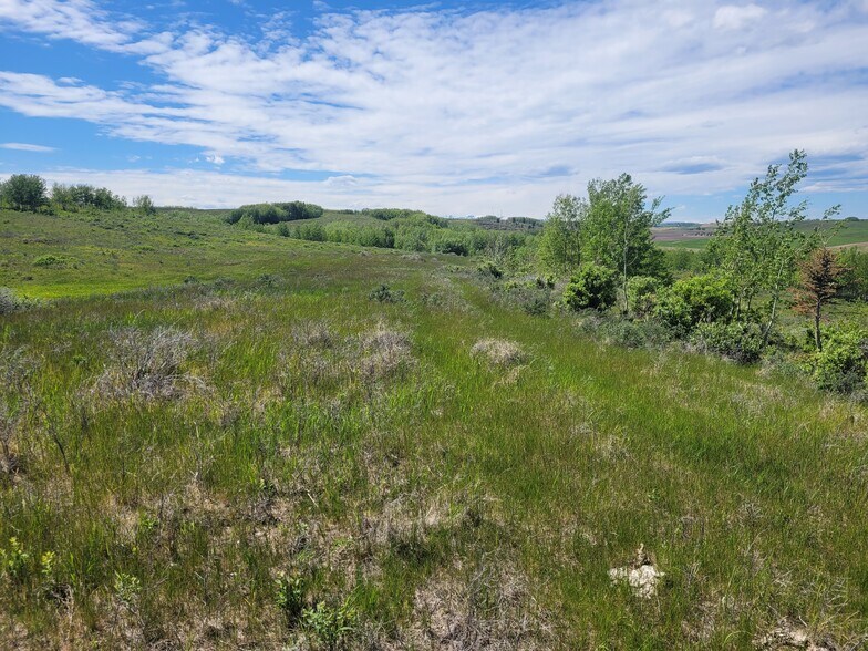 Lochend Rd, Rocky View No 44, AB à vendre - Photo du bâtiment - Image 3 de 16