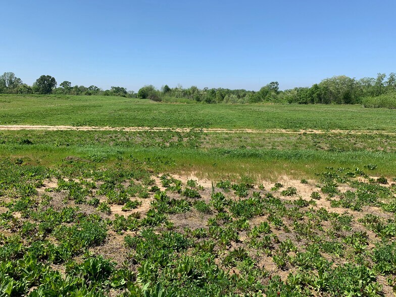 000B-3A Highway 61, Natchez, MS à vendre - Photo du bâtiment - Image 1 de 4