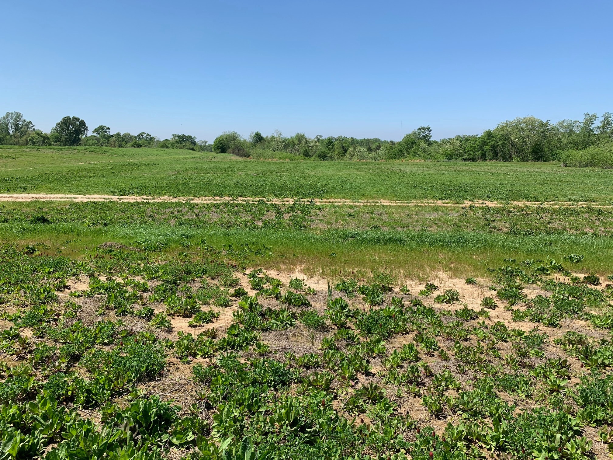 000B-3A Highway 61, Natchez, MS for sale Building Photo- Image 1 of 5