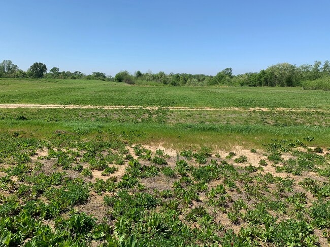 Plus de détails pour 000B-3A Highway 61, Natchez, MS - Terrain à vendre