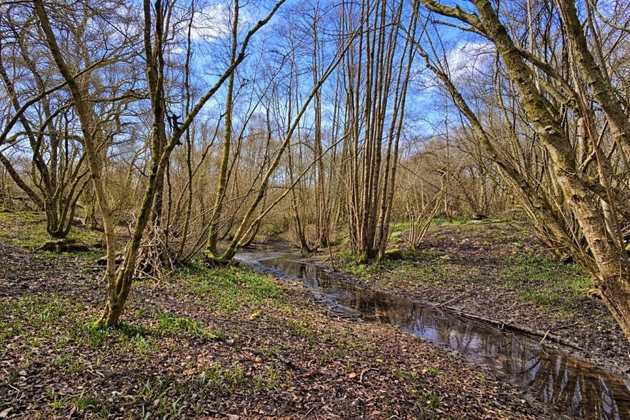 Land Opposite, 250 Holtye Rd, East Grinstead à vendre - Photo du bâtiment - Image 2 de 9