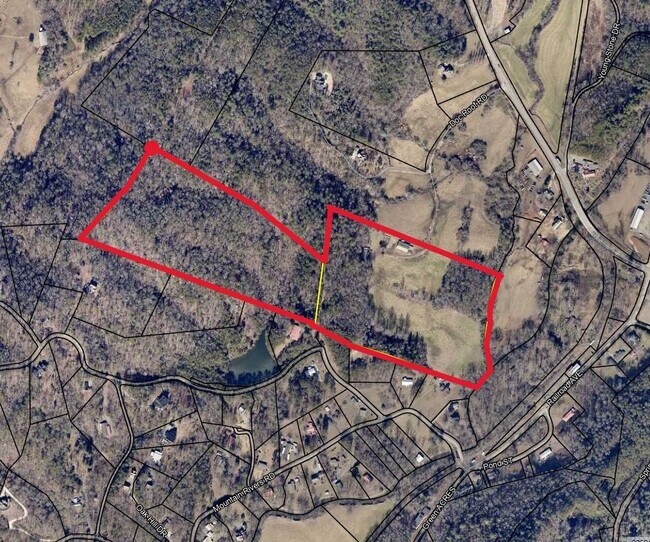 More details for 141 Doc Roof Rd, Mineral Bluff, GA - Land for Sale
