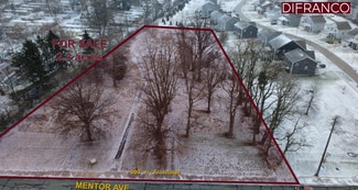 Plus de détails pour 7144 Mentor Ave, Mentor, OH - Terrain à vendre