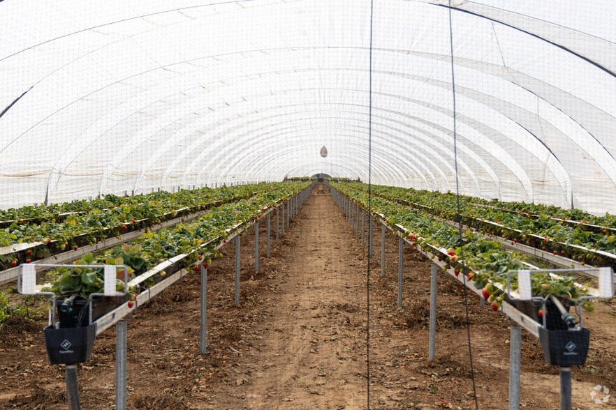 1702 Sinton Rd and 1505 Black Rd portefeuille de 2 propriétés à vendre sur LoopNet.ca - Photo du bâtiment - Image 3 de 13