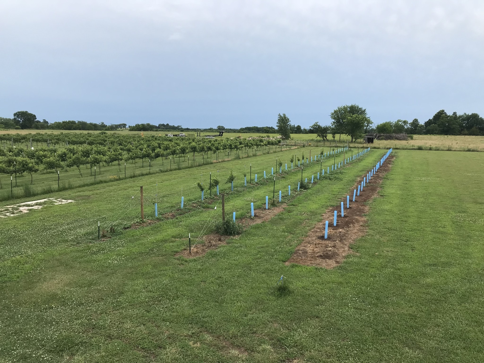 2304 Poplar Rd, Fort Scott, KS for sale Other- Image 1 of 14