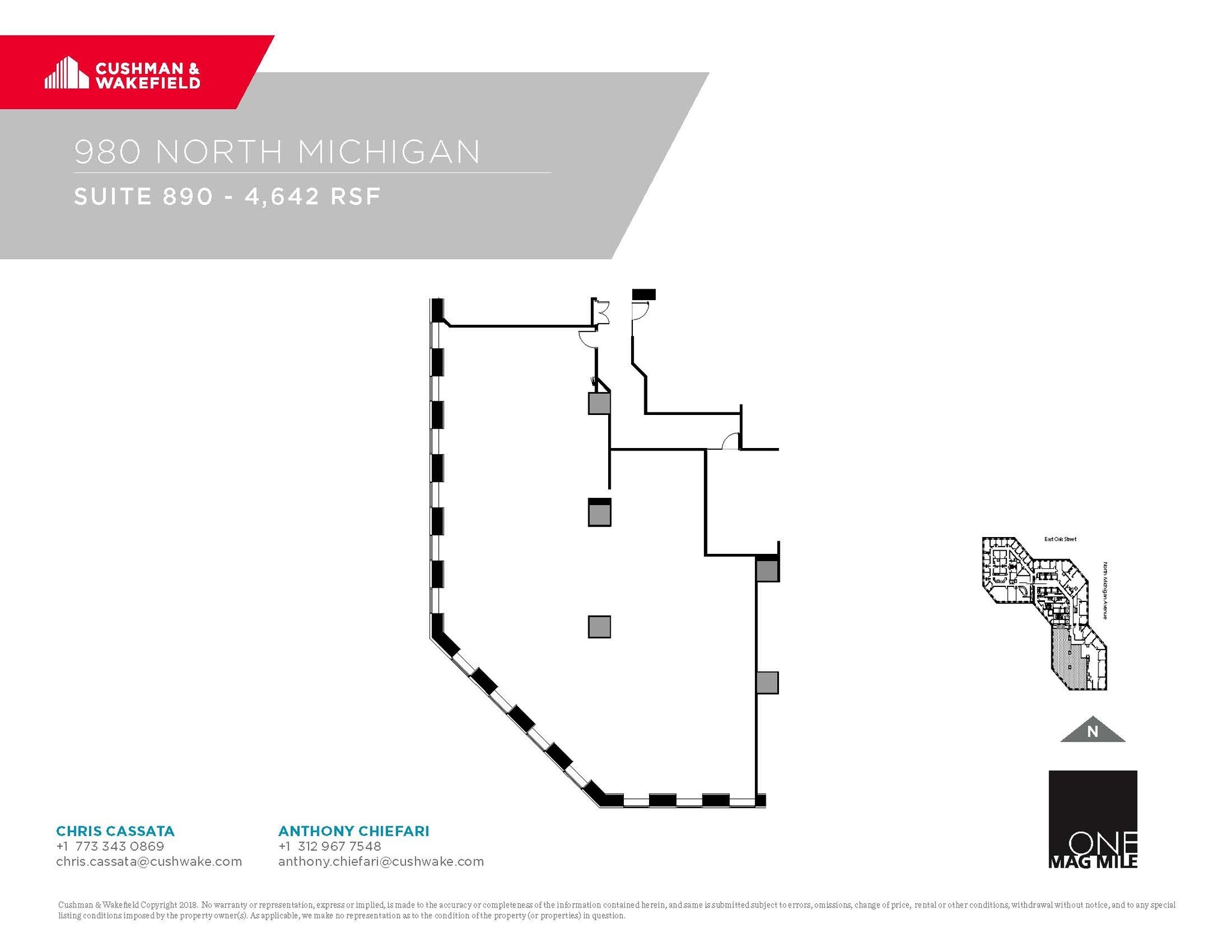 980 N Michigan Ave, Chicago, IL à louer Plan d’étage- Image 1 de 1