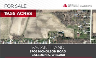 Plus de détails pour 8706 Nicholson Rd, Caledonia, WI - Terrain à vendre