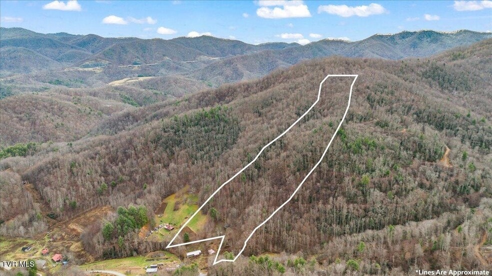 TBD Stockton Rd rd, Flag Pond, TN for sale - Aerial - Image 3 of 14