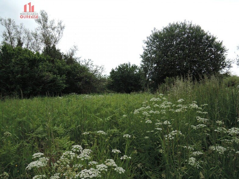 Land in Amoeiro, Orense for sale - Primary Photo - Image 3 of 6