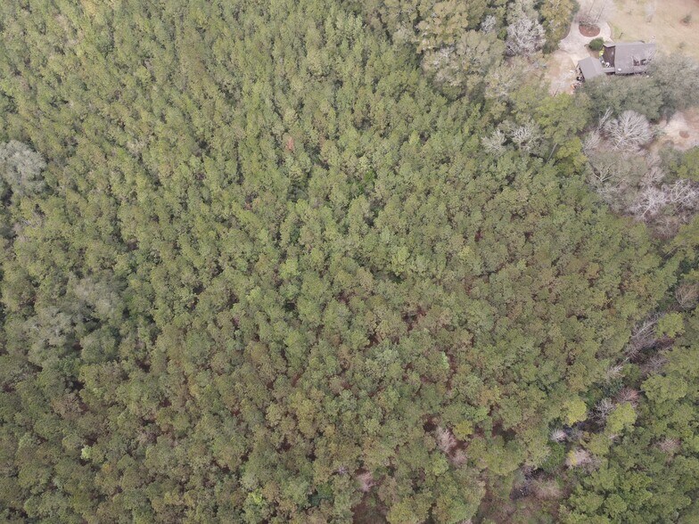 0 Baldwin St, Satsuma, AL à vendre - Photo du bâtiment - Image 3 de 13