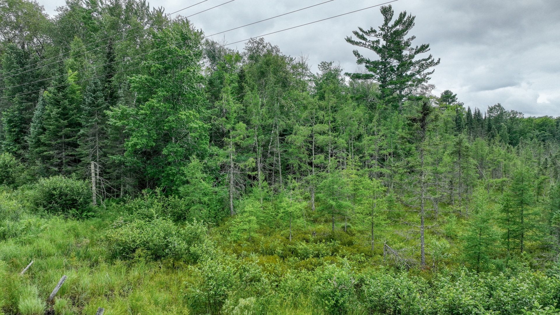 4E West Twin Lake Road, Hayward, WI for sale Primary Photo- Image 1 of 14