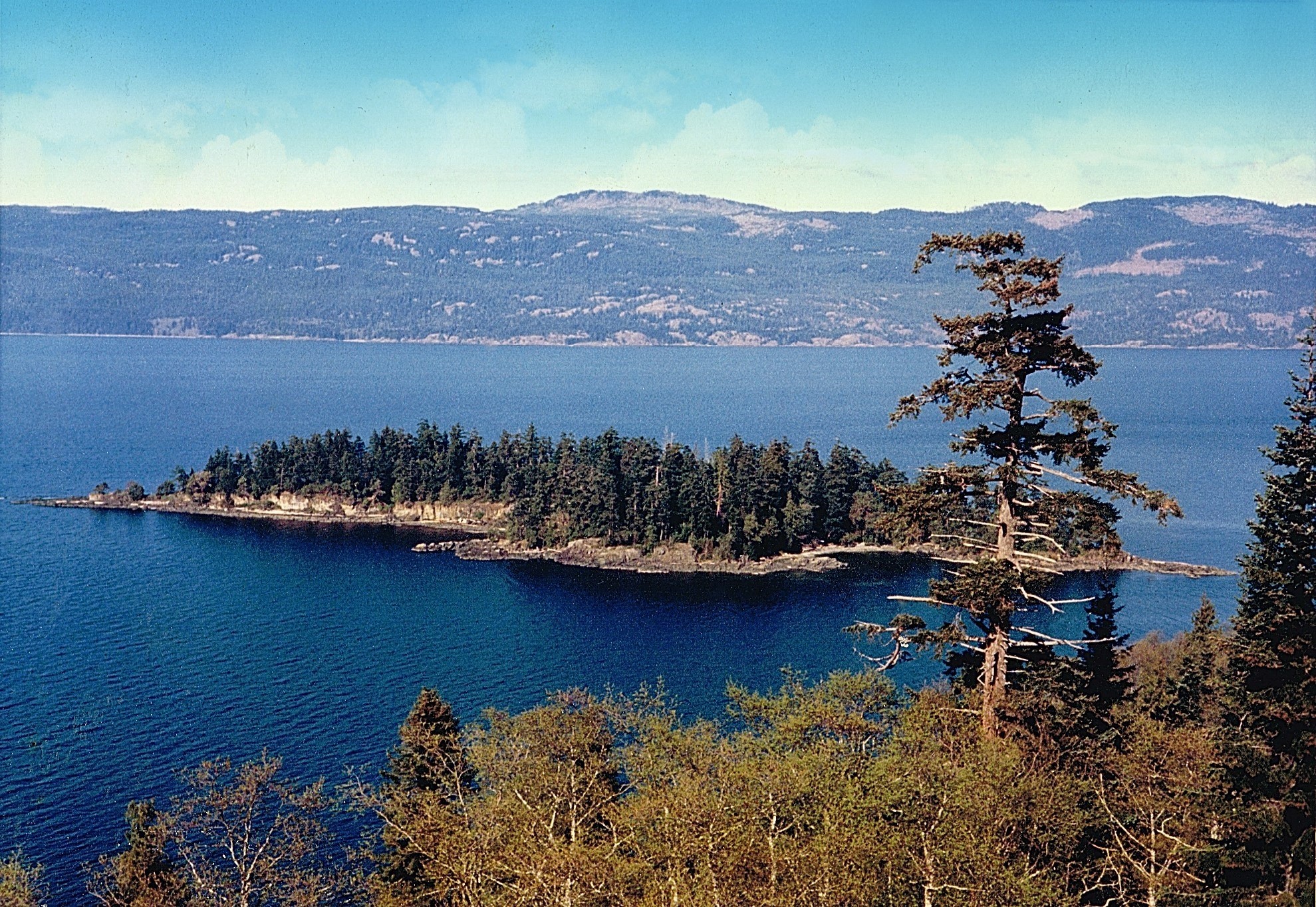 1 Jelina Island, Powell River District, BC à vendre Photo principale- Image 1 de 1