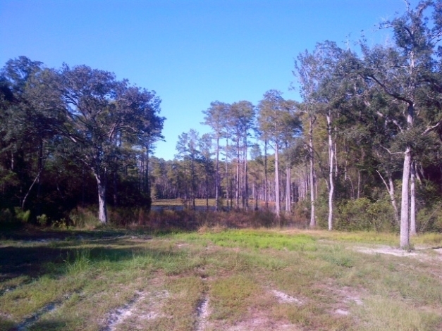 Sopchoppy Hwy, Sopchoppy, FL for sale - Primary Photo - Image 1 of 1