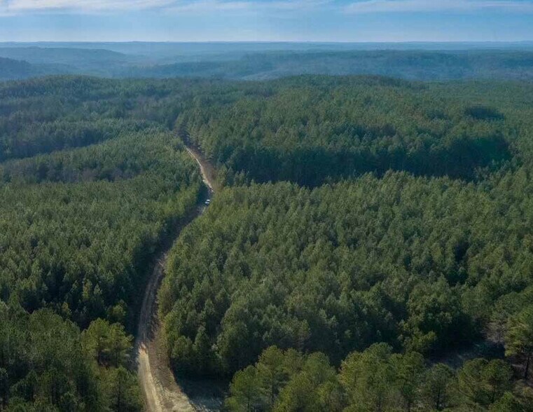 0 AL 13, Nauvoo, AL à vendre - Photo du bâtiment - Image 2 de 12