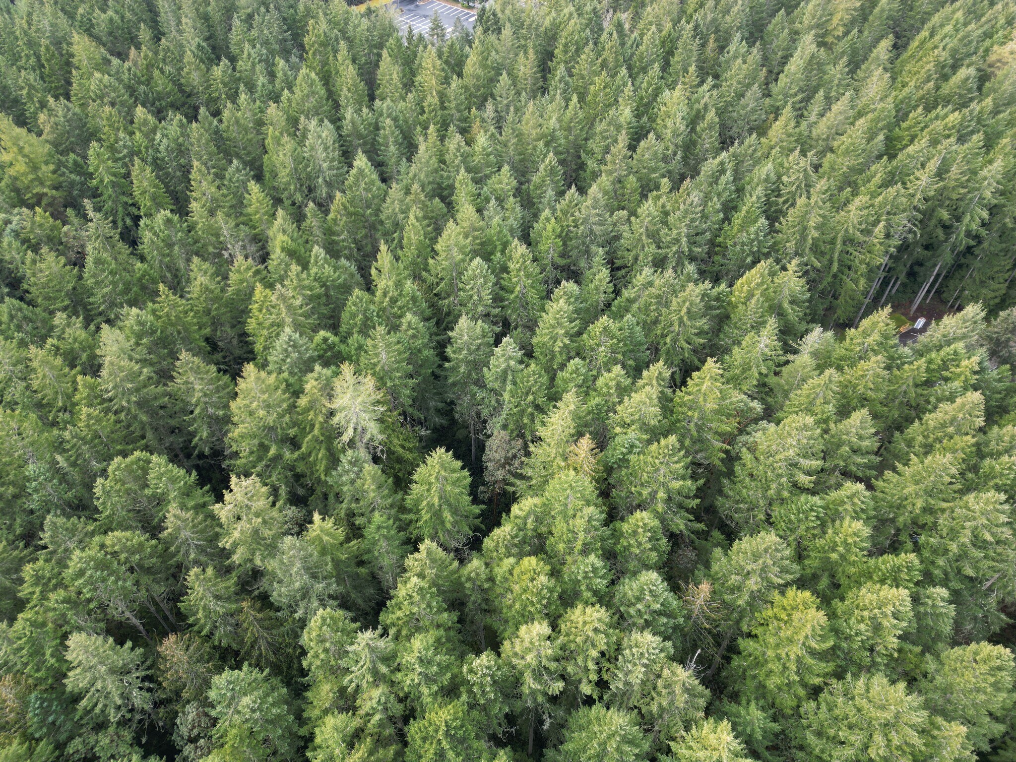 Greaves Way, Silverdale, WA for sale Primary Photo- Image 1 of 1