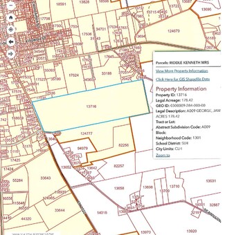 Plus de détails pour FM 1322/Commerce St, Lockhart, TX - Terrain à vendre