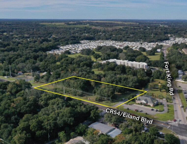 NWC Eiland Boulevard & Ft King Rd., Zephyrhills, FL for sale - Primary Photo - Image 1 of 10
