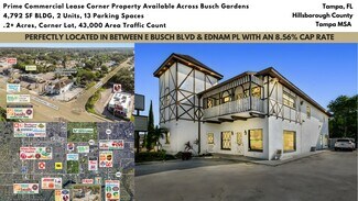 Plus de détails pour 3601 E Busch Blvd, Tampa, FL - Commerce de détail à louer
