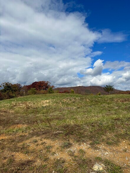 0 Cove, Roanoke, VA à vendre - Photo du bâtiment - Image 3 de 16